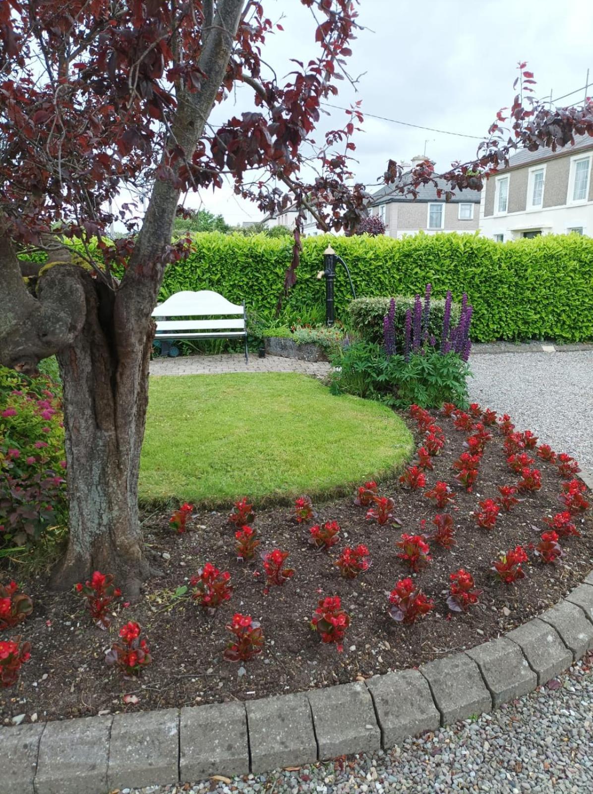 Kingfisher Lodge Killarney Exterior foto